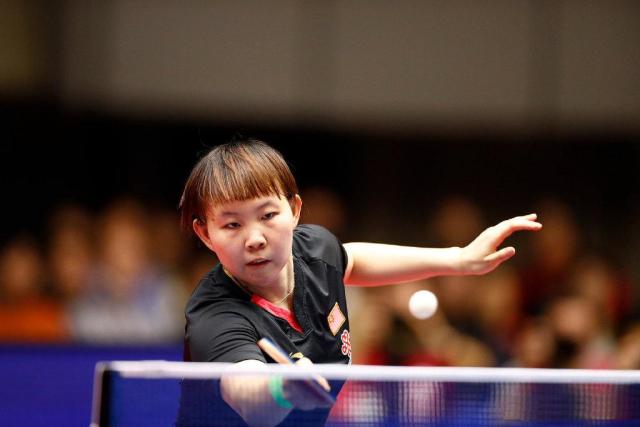 埃尔切的教 埃尔切的教