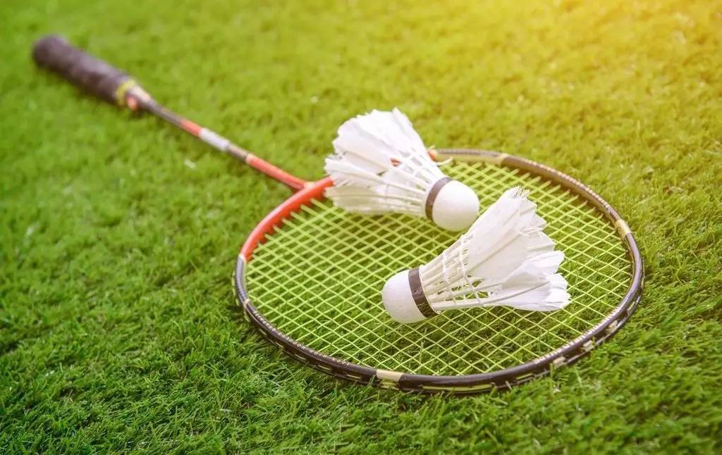 意冒险引入 意冒险引入