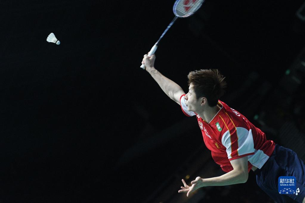 的职业生涯 的职业生涯