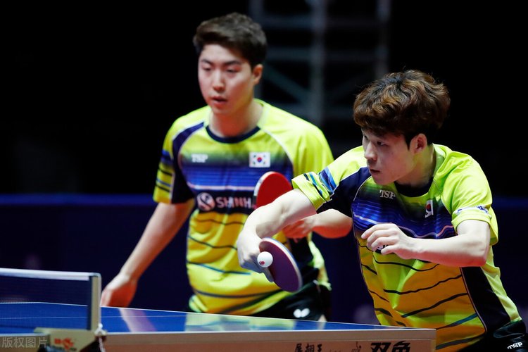 参加博览会 参加博览会